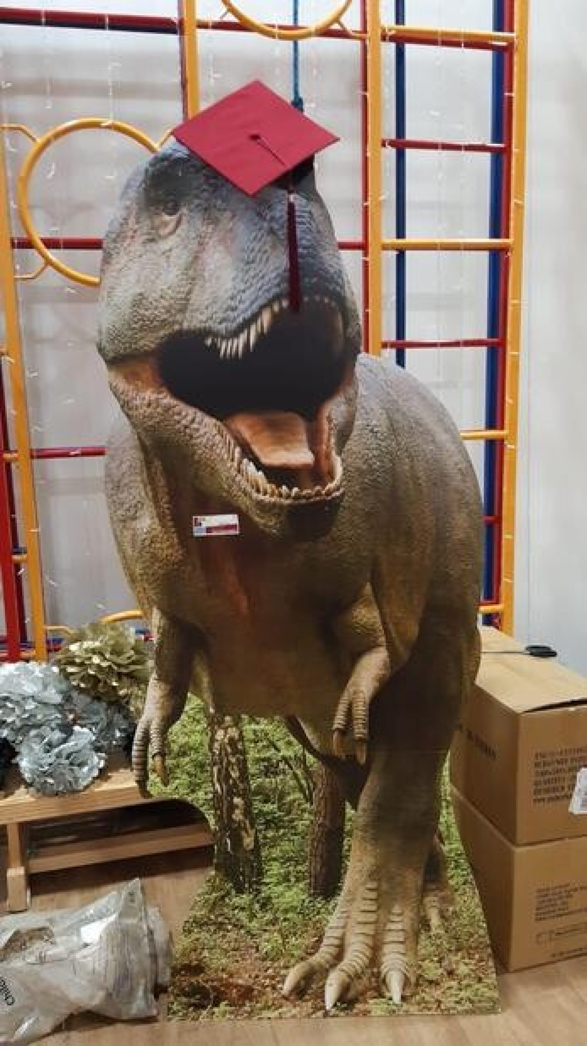 f26cd38d 48e4 427d a0b4 d76b66c15cae 1x1