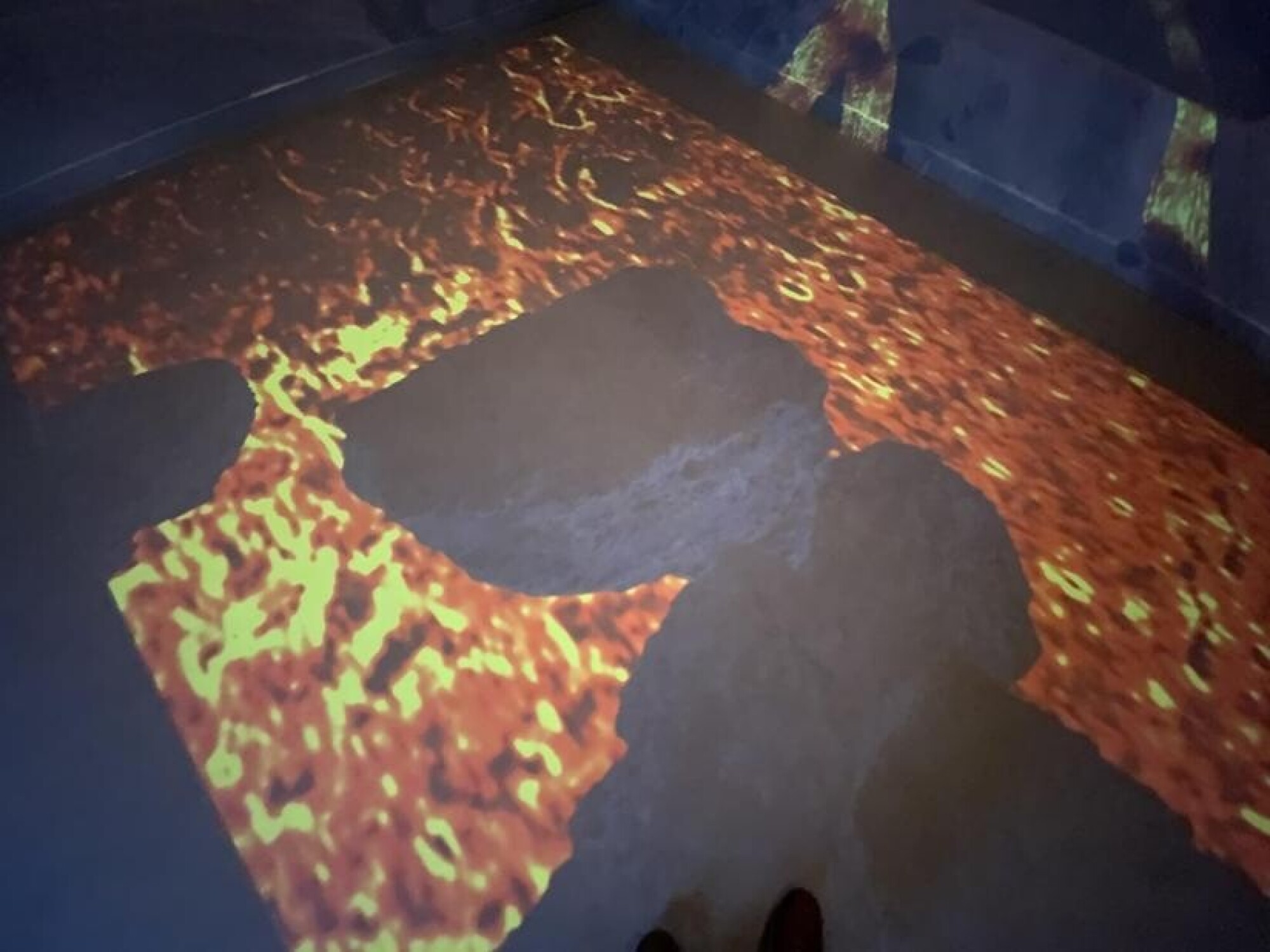 f65dd096 da9c 4707 8ba5 4ce637ca28c2 1x1