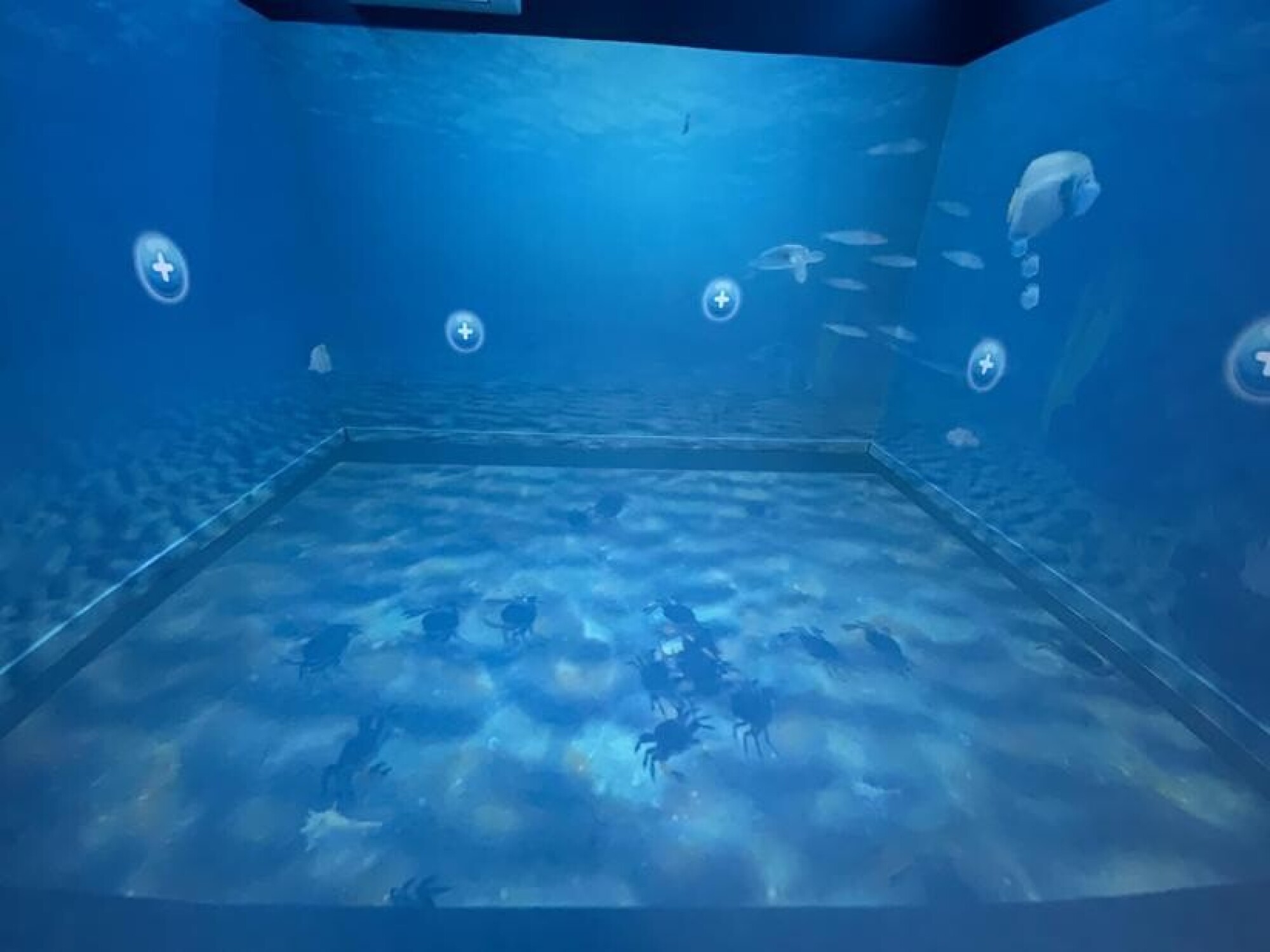 f7ad152a 6e98 488e 8906 24664a5c92b3 1x1