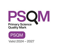 Primary Science Quality Mark Image