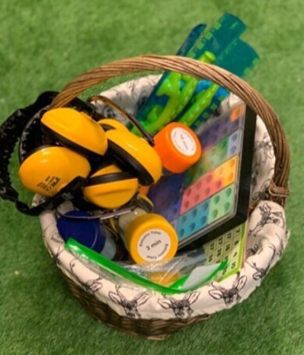 Inclusion Basket Image